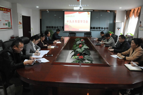 洗選煤運營公司認(rèn)真學(xué)習(xí)傳達(dá)十九大精神