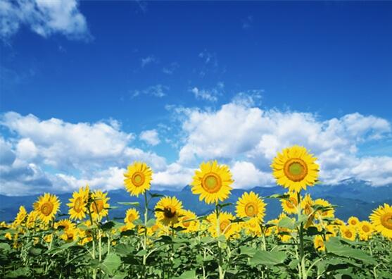 用責(zé)任點燃青春，以擔(dān)當(dāng)成就事業(yè)