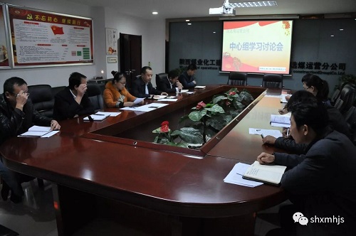 洗選煤運(yùn)營(yíng)公司黨政領(lǐng)導(dǎo)班子“議發(fā)展”