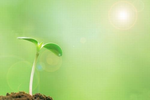 歲生之初，且聽(tīng)我說(shuō)