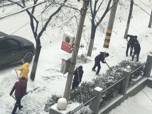 義務(wù)掃雪除冰  黨員干部在行動