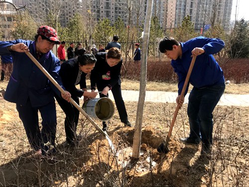 義務(wù)植樹展風(fēng)采  我與神南共成長