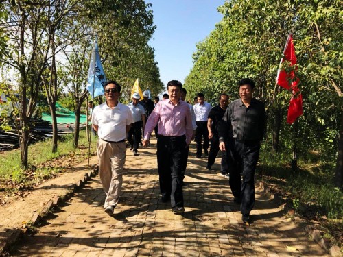 陜西省總工會黨組書記、主席白阿瑩一行蒞臨鄠邑區(qū)調(diào)研考察草堂寺健康養(yǎng)老示范項目