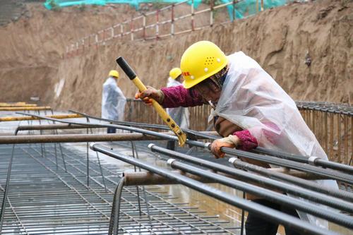 雨天里,“小蜜蜂們”在“筑巢”