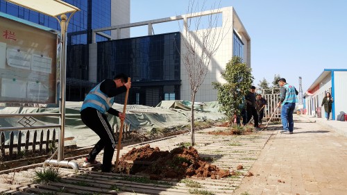 陜煤建設(shè)澄合分公司基層單位開展“植樹護(hù)綠，美麗家園”義務(wù)植樹活動