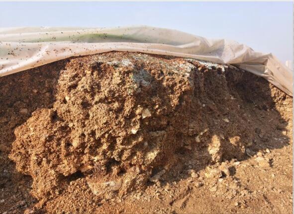 “廢料”變“肥料”，蘑菇包在土壤改良中的應(yīng)用