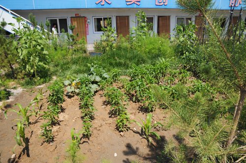 陜煤建設掘進公司：北翼項目部走出一條綠色發(fā)展路