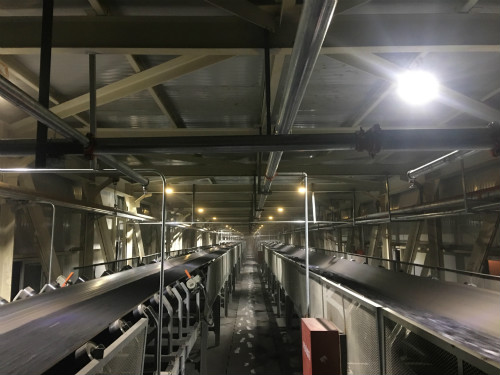 陜煤建設(shè)機(jī)電安裝公司曹家灘項目部完成火車運(yùn)煤任務(wù)