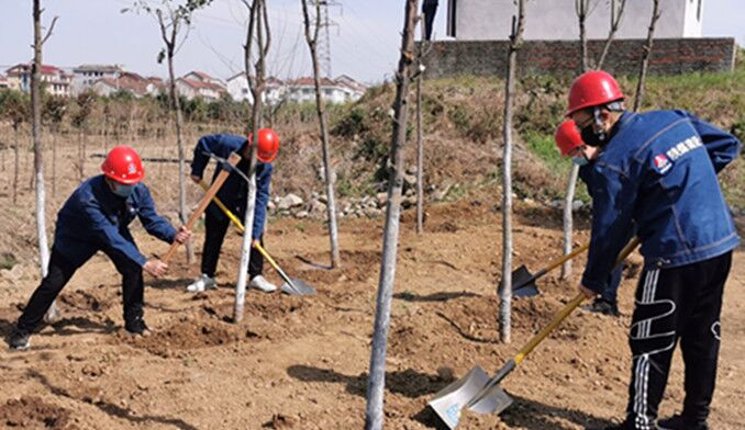 今天你植樹了嗎？