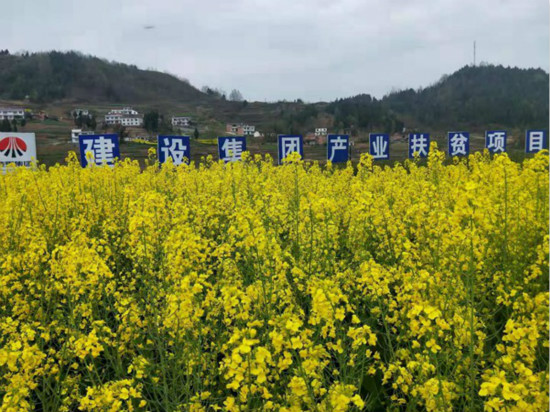 公司領(lǐng)導(dǎo)寧興剛、侯本英到扶貧定點(diǎn)幫扶村看望慰問困難群眾