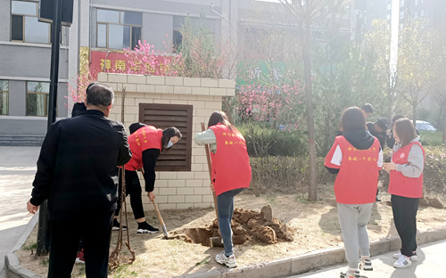 陜煤建設(shè)公司：開展綠化補(bǔ)種 打造美好家園