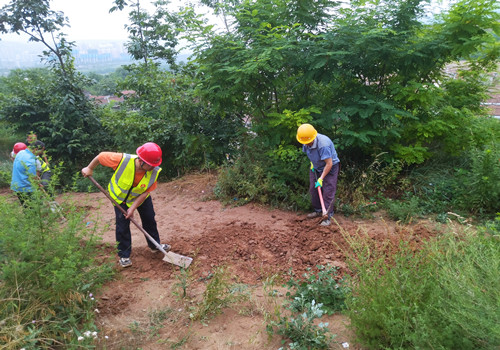 青年突擊勇?lián)?dāng)，助民防洪顯形象