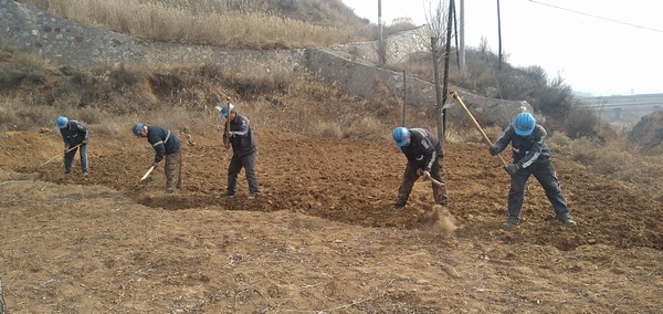 陜煤建設(shè)洗選煤運(yùn)營(yíng)公司左權(quán)洗煤廠項(xiàng)目部：春耕“小菜園”，播種幸福感