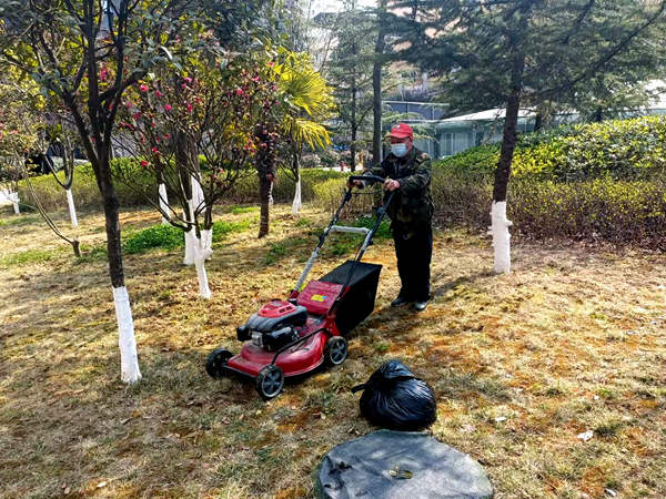 建設(shè)集團大秦置業(yè)公司：修剪養(yǎng)護植被為小區(qū)添“新裝”