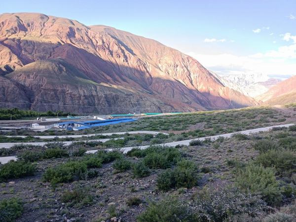 陜煤建設設計研究院赴西藏做好仿生態(tài)藏香豬養(yǎng)殖項目現(xiàn)場跟蹤服務