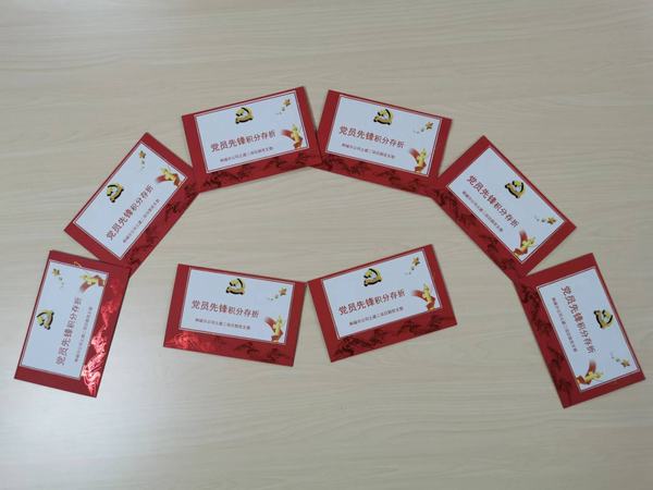 “黨員先鋒”的播種、開花與結(jié)果