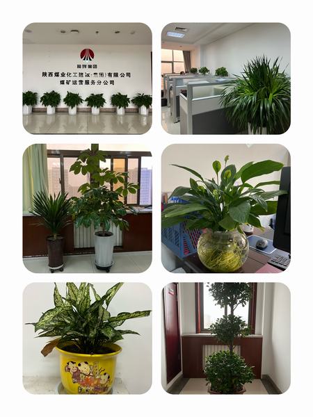 陜煤建設(shè)煤礦運營服務(wù)公司：職工之事無小事