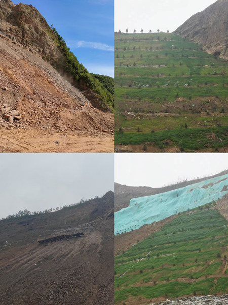 渣山變綠林，碎石堆場批“綠裝”