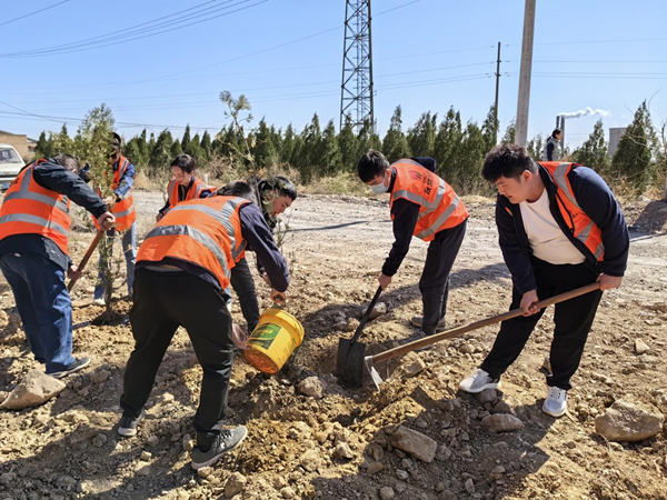 陜煤建設(shè)漢中分公司：不負春光 “植”此新綠