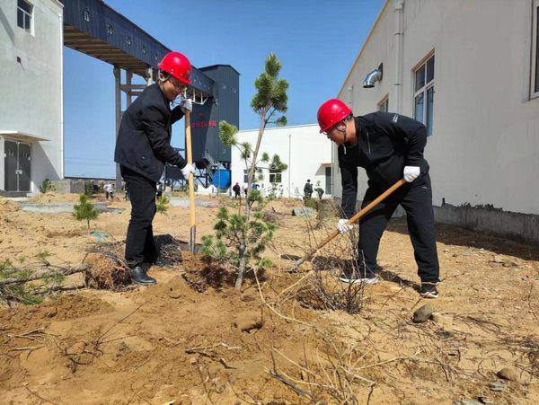 陜煤建設(shè)路橋分公司榆陽煤炭物流園區(qū)項(xiàng)目部春風(fēng)化雨植樹忙