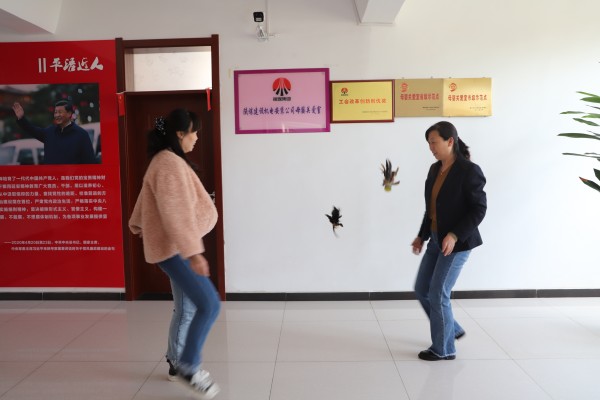 陜煤建設(shè)機電安裝公司開展“迎五一 慶五四”趣味文體活動