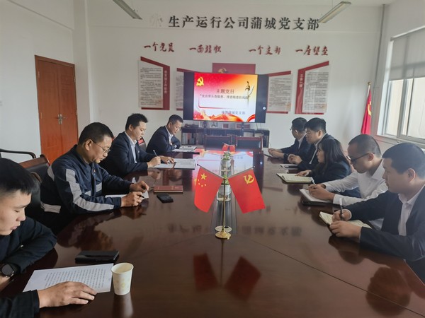 陜煤建設(shè)洗選煤運(yùn)營公司神渭蒲城運(yùn)營項(xiàng)目部： 開展“黨員帶頭查安全 排查隱患防風(fēng)險”主題黨日活動