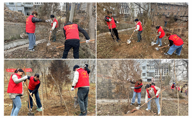 陜煤建設(shè)機(jī)電安裝公司：走，上春山，植樹去！