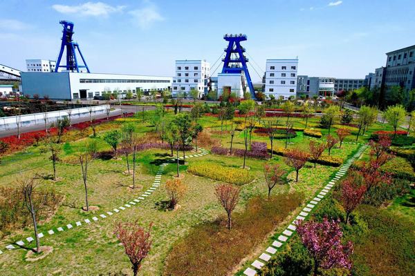 踏尋春天的底色，感知生命的力量