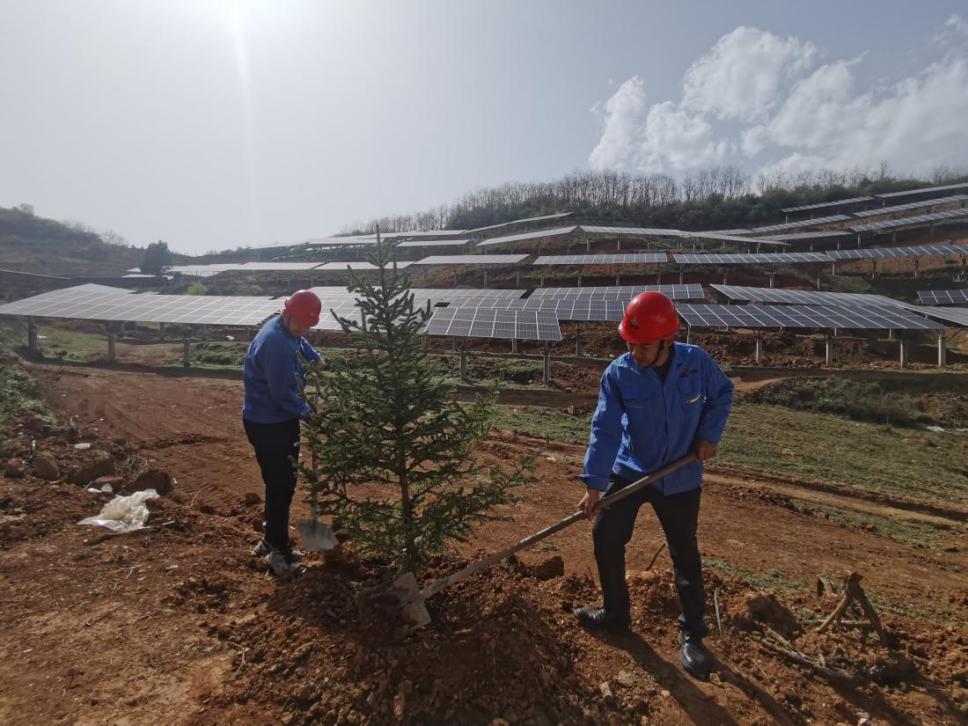 陜煤建設(shè)西北分公司機電安裝項目部： 全員參與，共筑綠色屏障