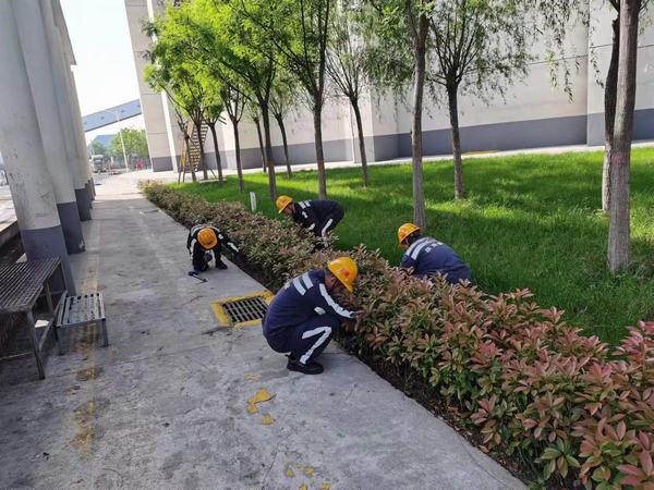 陜煤建設(shè)洗選煤運營公司神渭蒲城運營項目部：逐”綠”而行 向”綠”而興！廠區(qū)綠化在行動