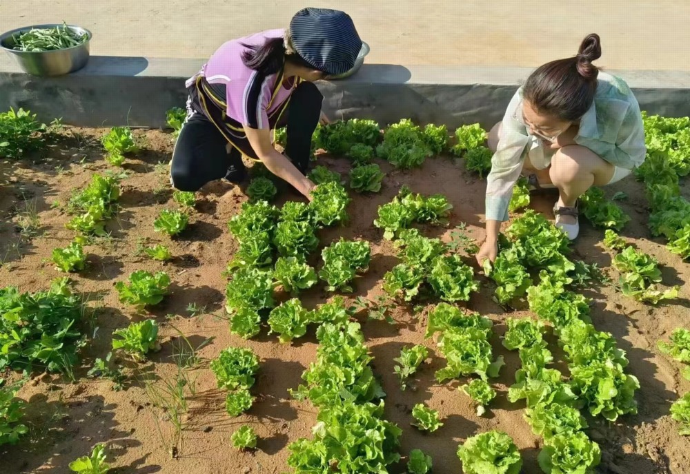 陜煤建設礦建三公司：項目菜園子“種”出職工幸福感