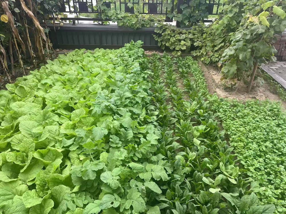 工地之上，家的溫度悄然綻放