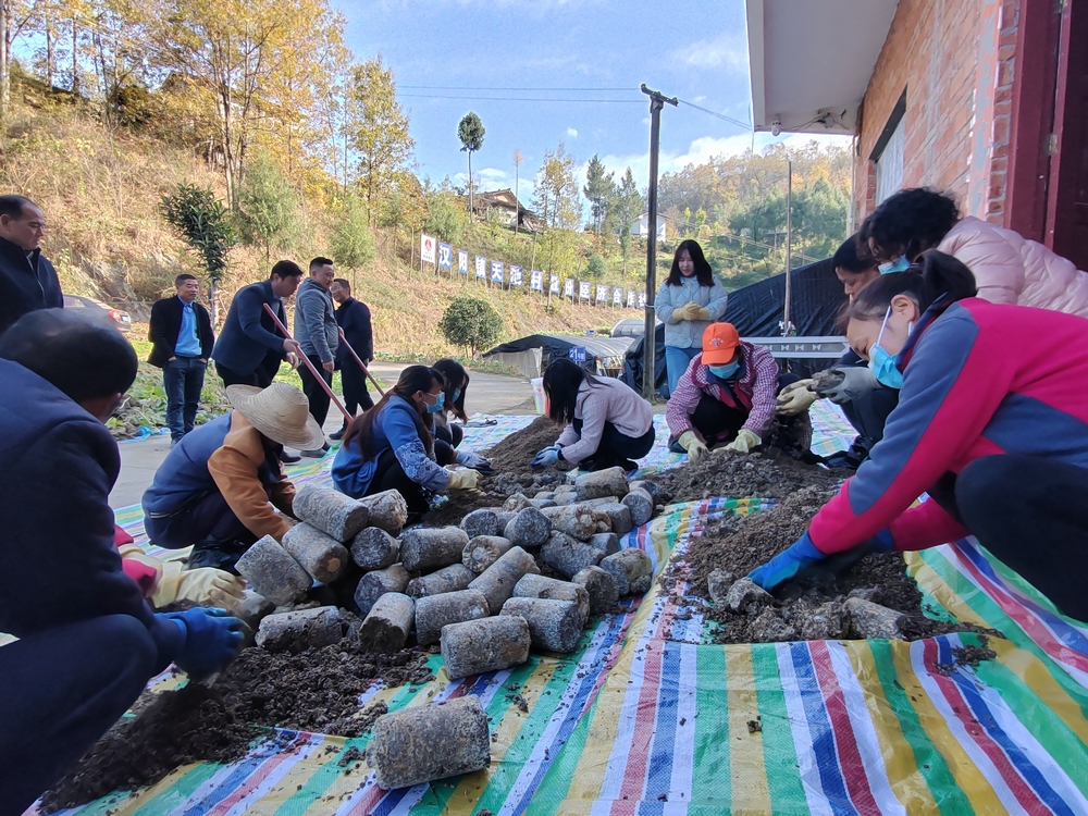 陜煤建設(shè)定點幫扶村：羊肚菌產(chǎn)業(yè)開啟致富新引擎