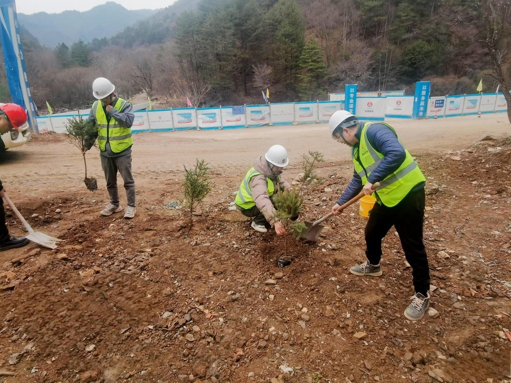 “植”此青綠，陜煤建設(shè)路橋分公司春風(fēng)十里添新林