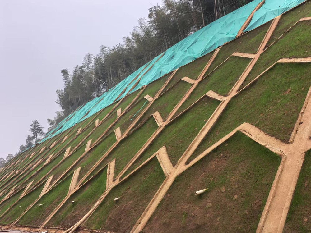 陜煤建設(shè)西北分公司：邊坡披綠衣，防護顯匠心