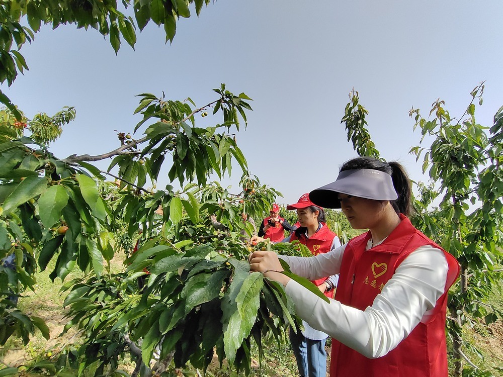 陜煤建設(shè)澄合分公司：助力農(nóng)耕踐初心 防災(zāi)宣傳擔使命