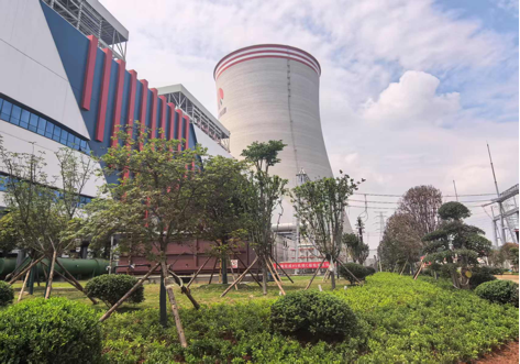 陜煤建設(shè)西北分公司：綠意盎然入電廠，生態(tài)建設(shè)譜新章