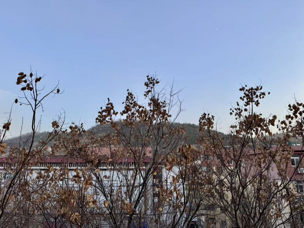 秋意漸濃時(shí)，回望來(lái)時(shí)路