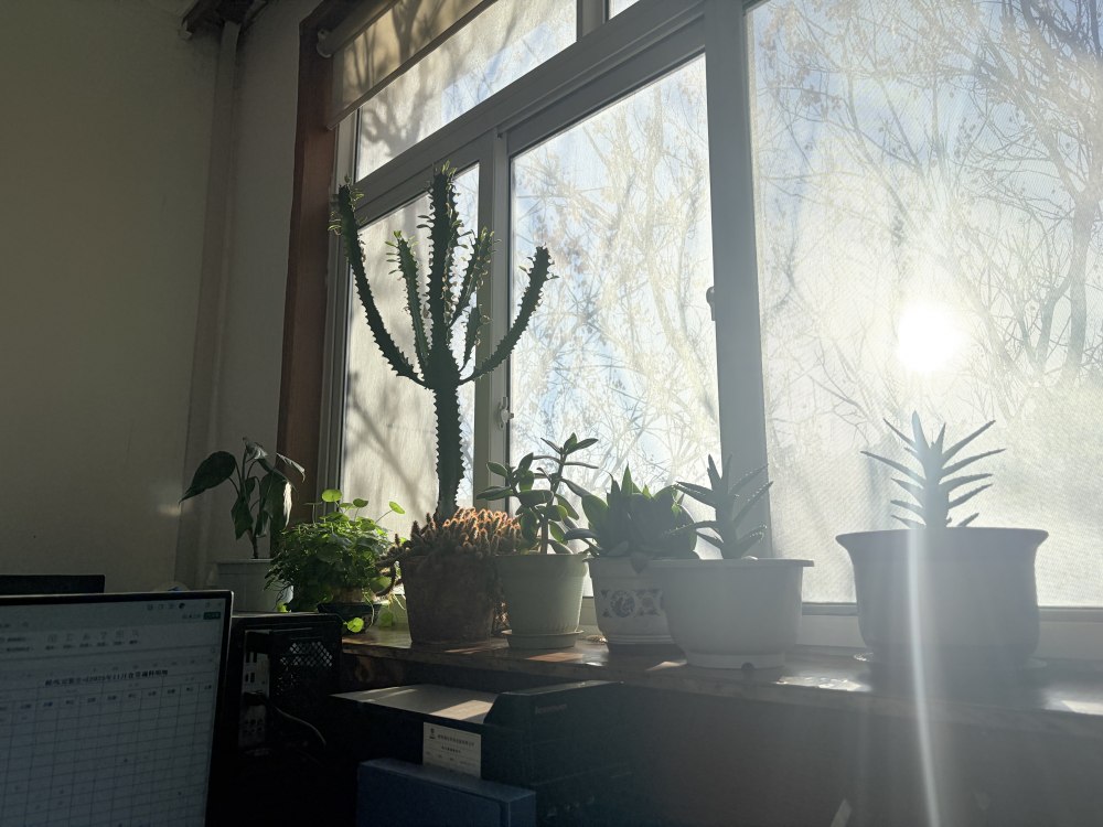 冬陽正好，步履鏗鏘