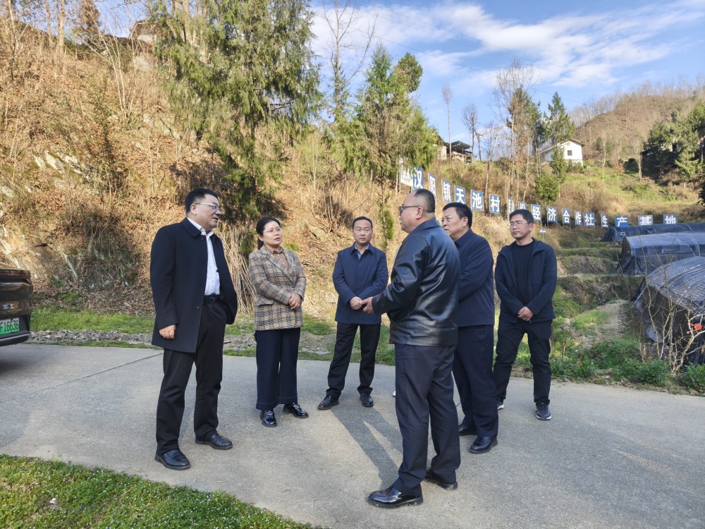 王明智深入定點幫扶村指導(dǎo)鄉(xiāng)村振興工作