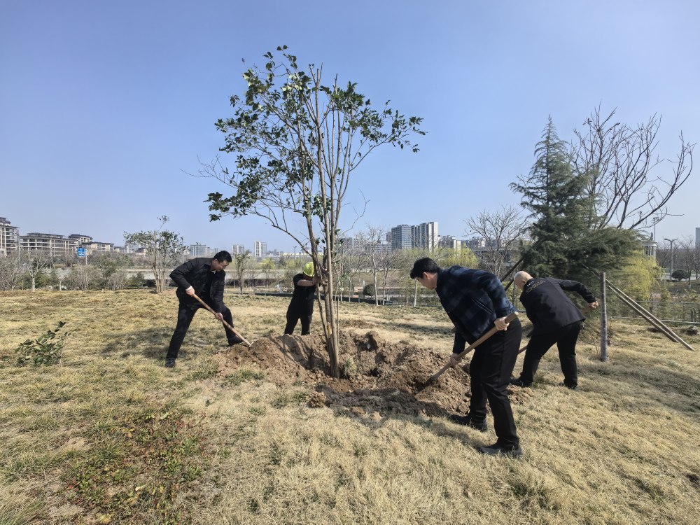 空港添新綠    生態(tài)向未來(lái)