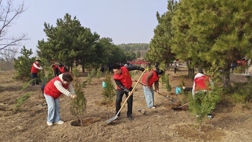 陜煤建設(shè)澄合分公司：雷鋒精神映初心 青春建功啟新程