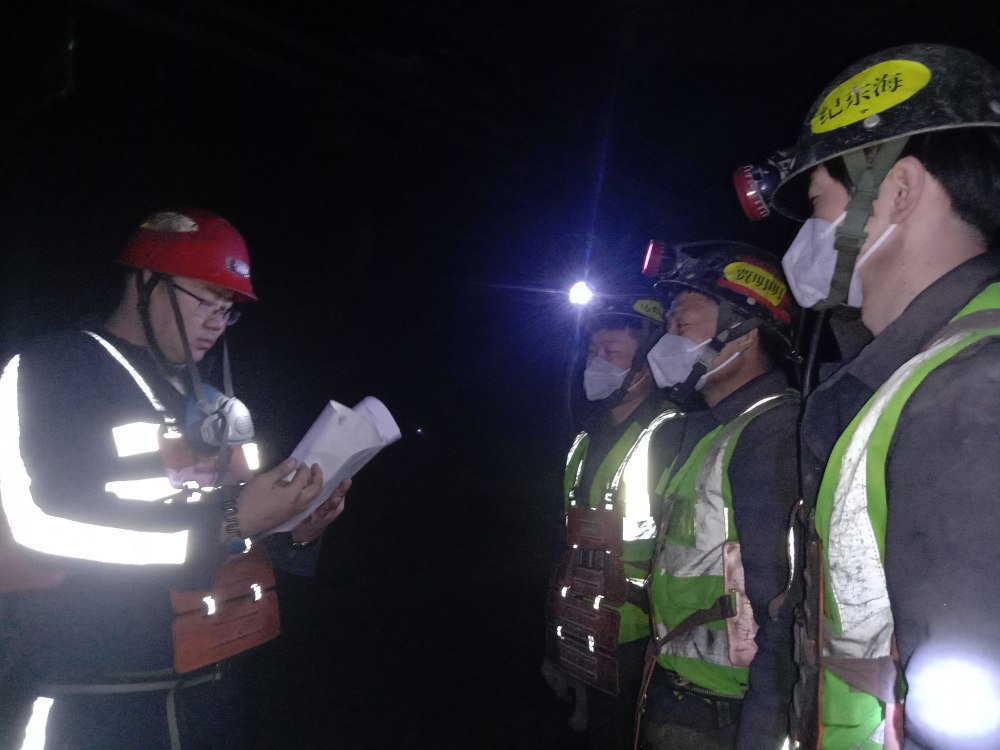 黨建引領(lǐng)聚青春 大干實干啟新程