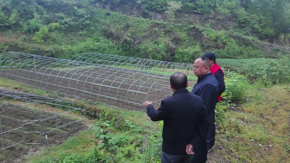 陜煤建設定點幫扶村：情系幫扶戶 共謀振興路