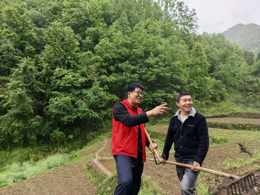 雨生百谷，情滿山村